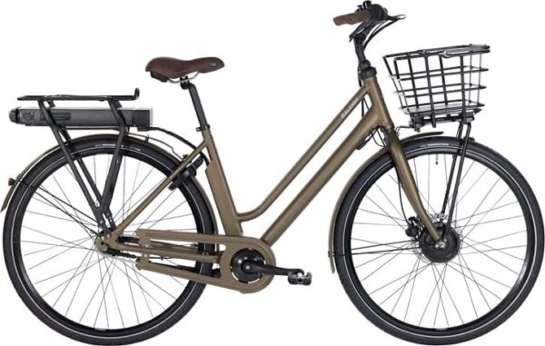 Raleigh Sussex E1 Frontmotor
