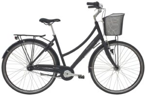 Raleigh City Classic Dame.