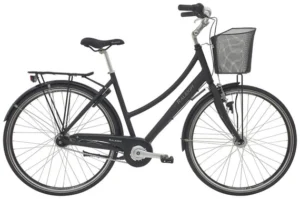 Raleigh City Classic Dame.